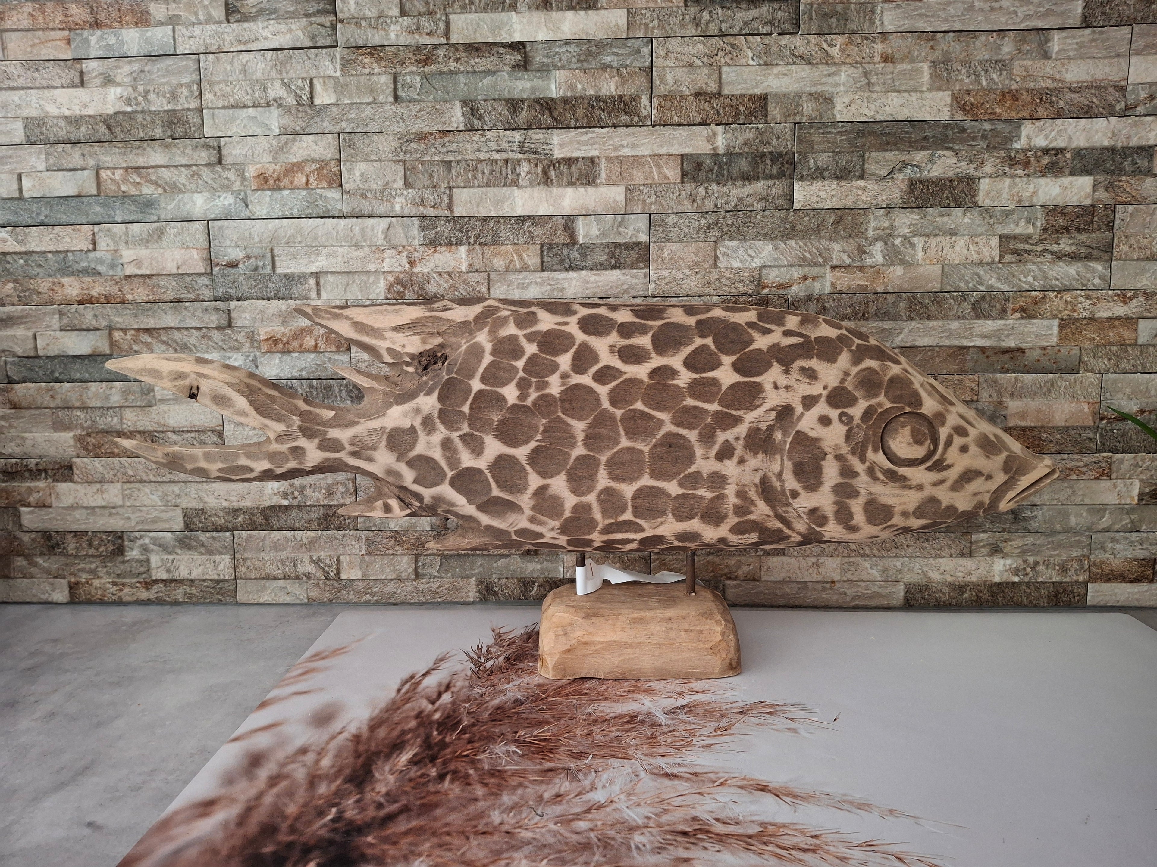 Fish Drapa Driftwood, lengte 63 cm