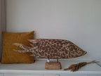 Fish Drapa Driftwood, lengte 63 cm