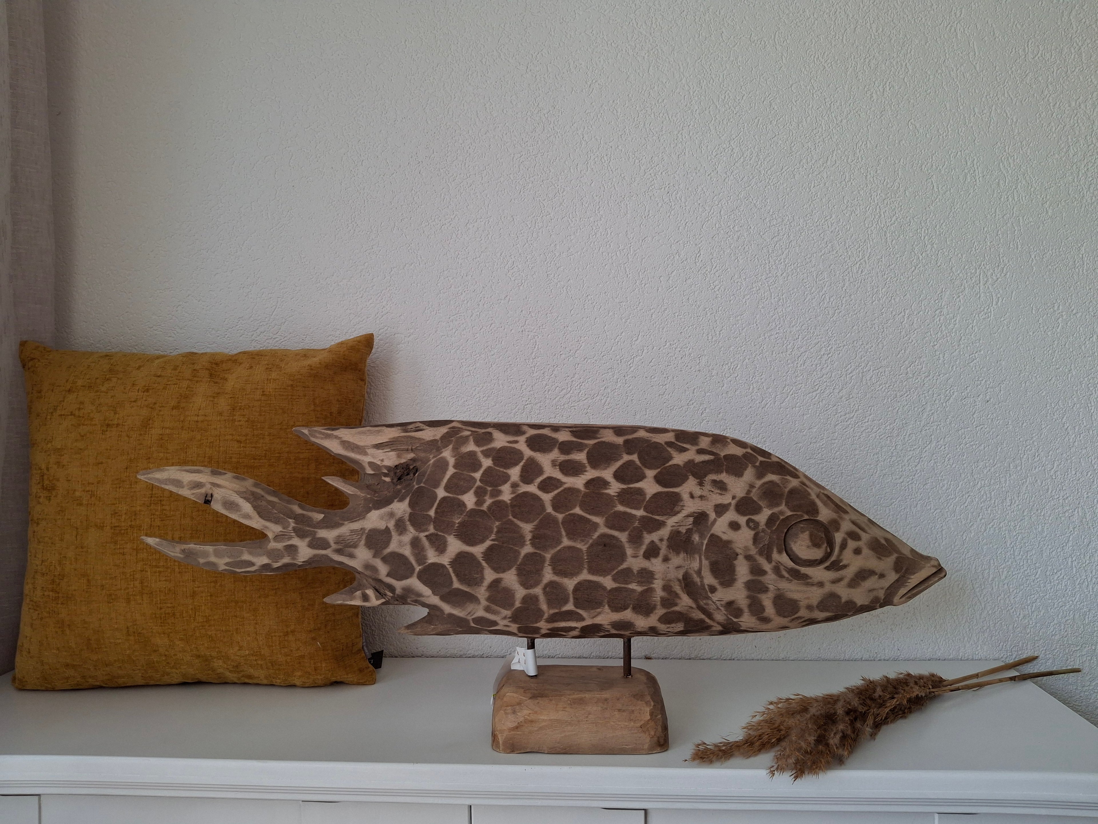 Fish Drapa Driftwood, lengte 63 cm