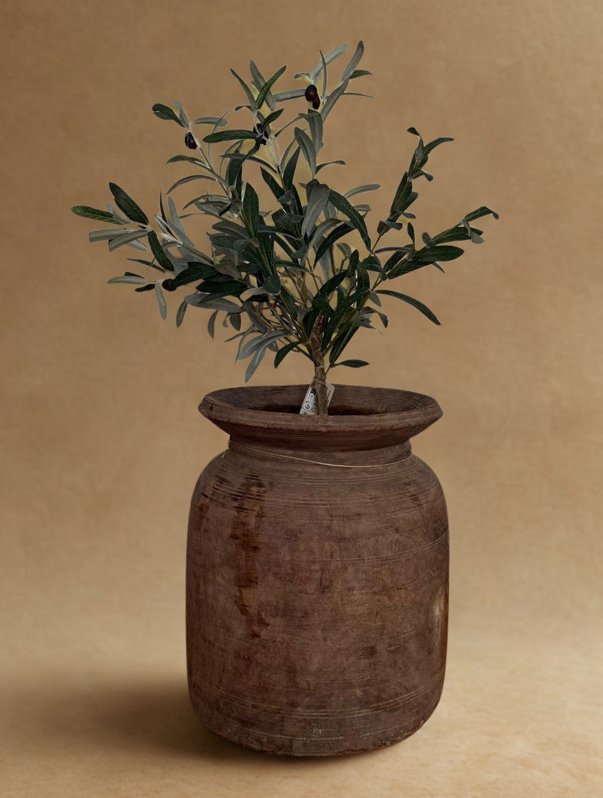 Set Nepalese pot XL met olijfboompje