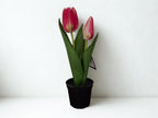 Zijden tulpen in potje, roze