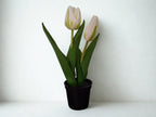 Zijden tulpen in potje, wit