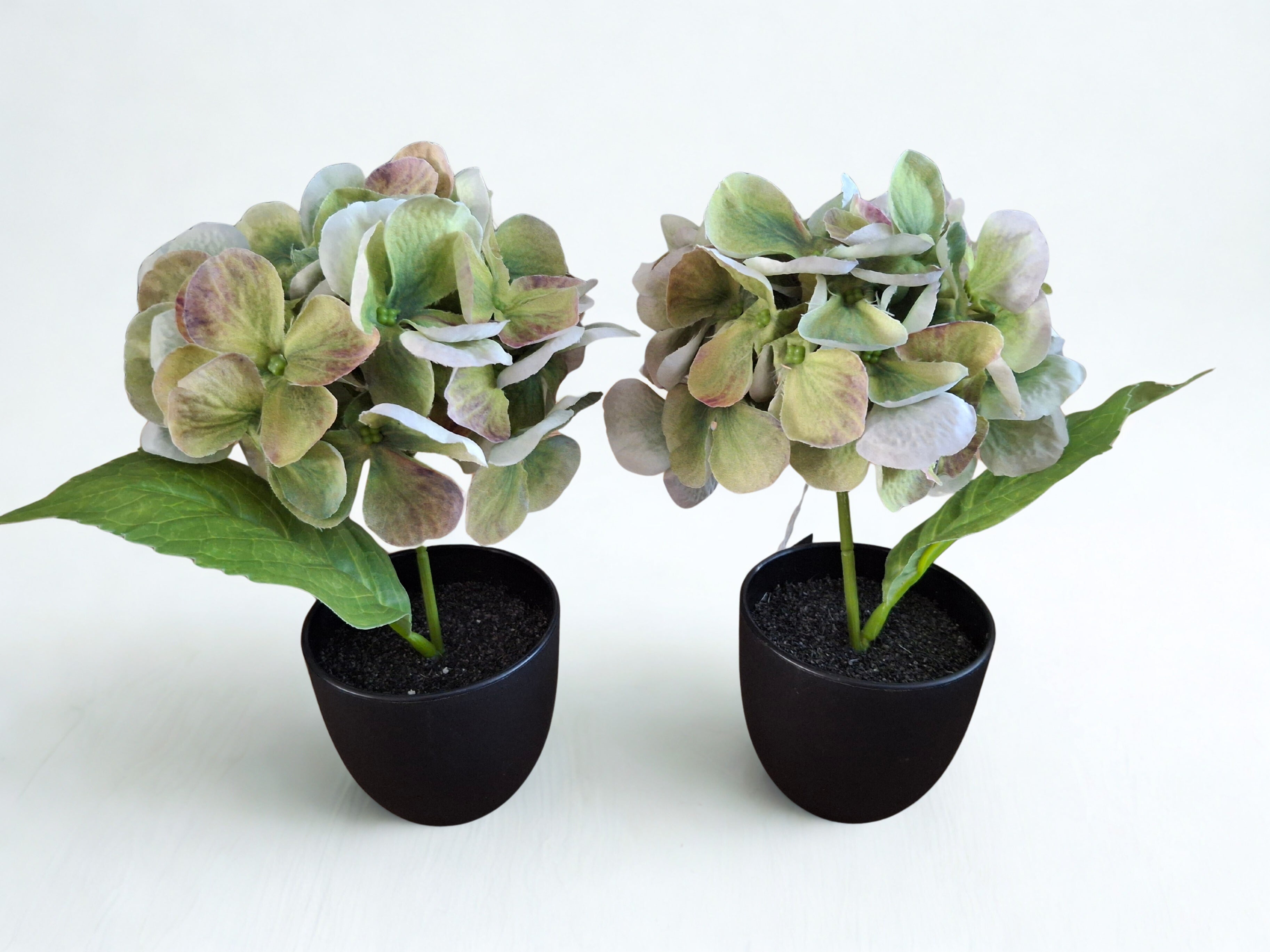 Zijden hortensia in potje