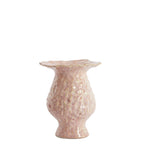 Light and Living Vaas Munnar koraal