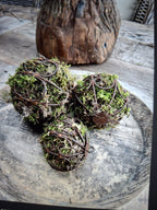 Mosbal L rustiek roestkleur Barn 12