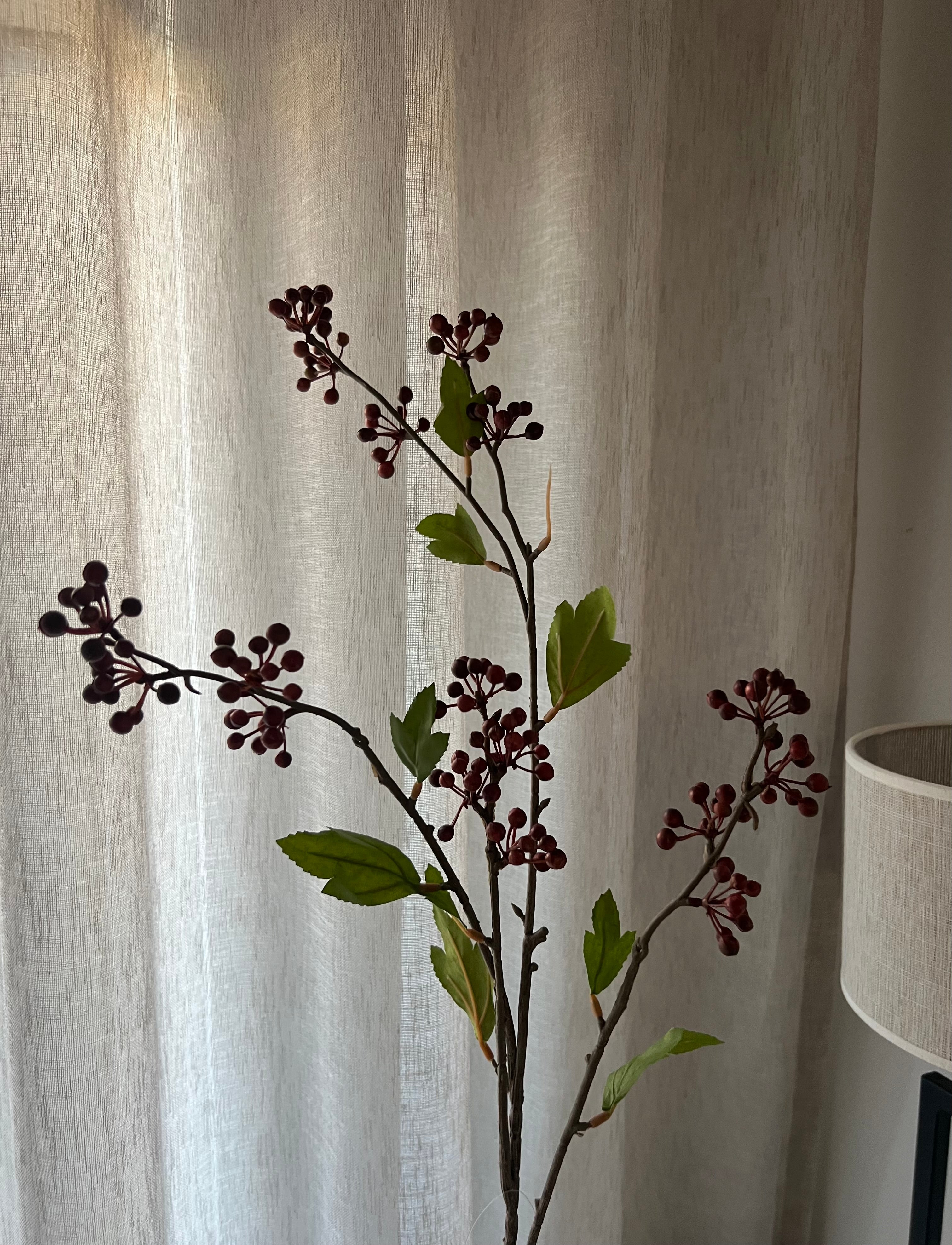 Berry Canta Red 89 cm