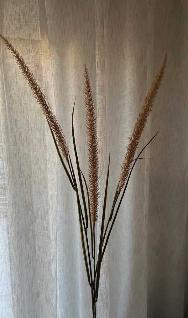 Pennisetum Beige 128 cm