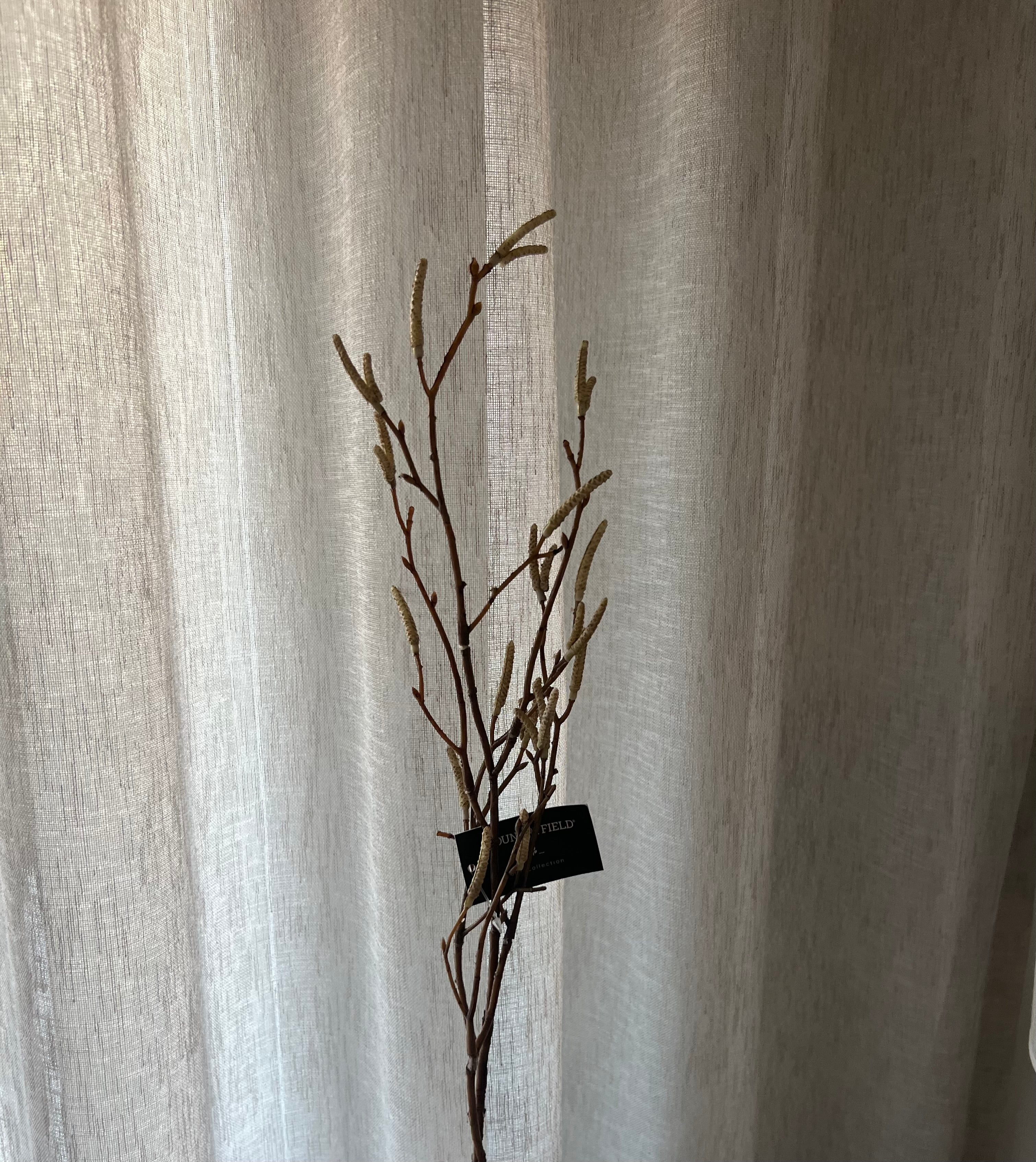 Betula Crème 55 cm