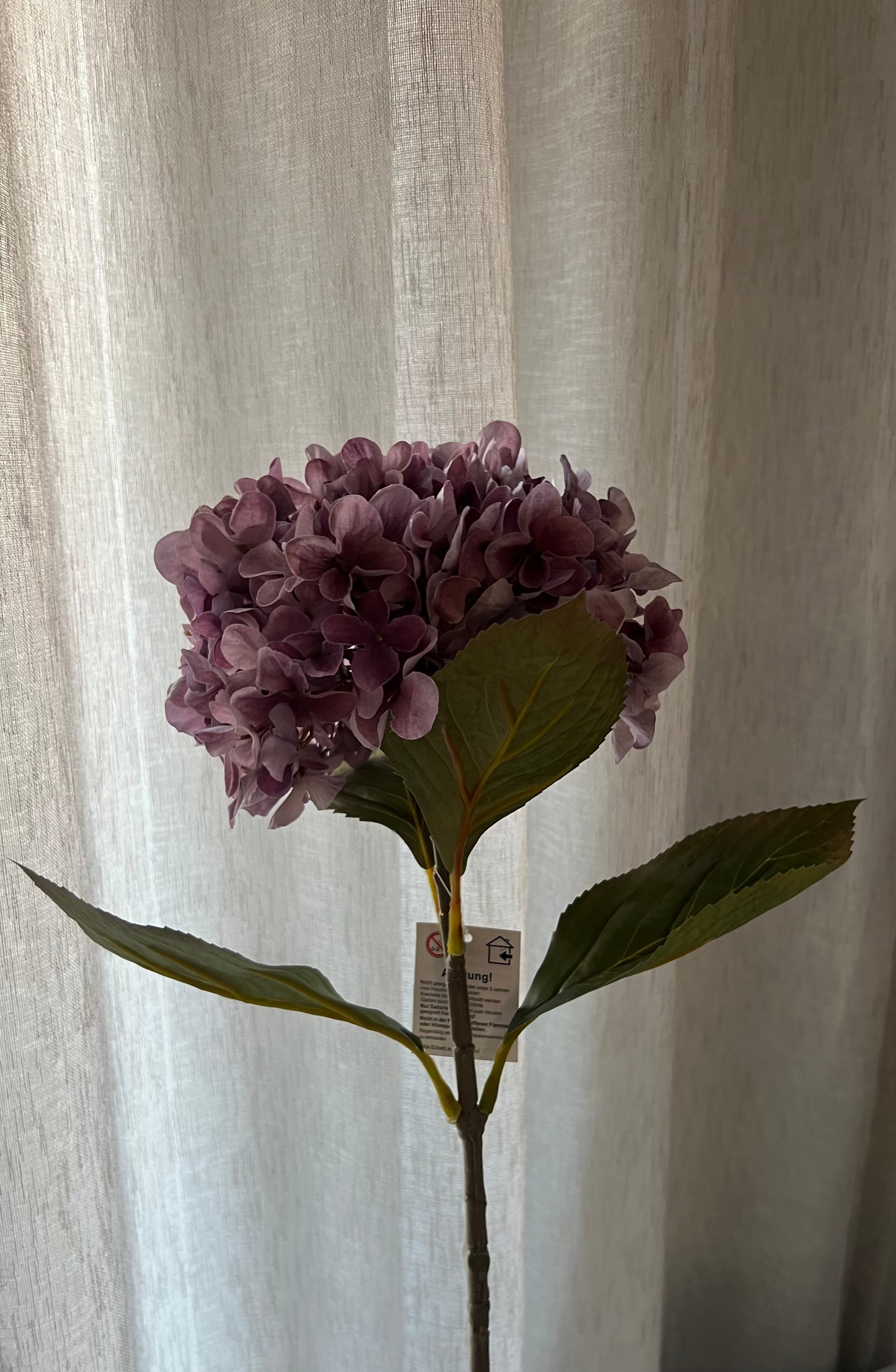 Hortensia Violett 64 cm