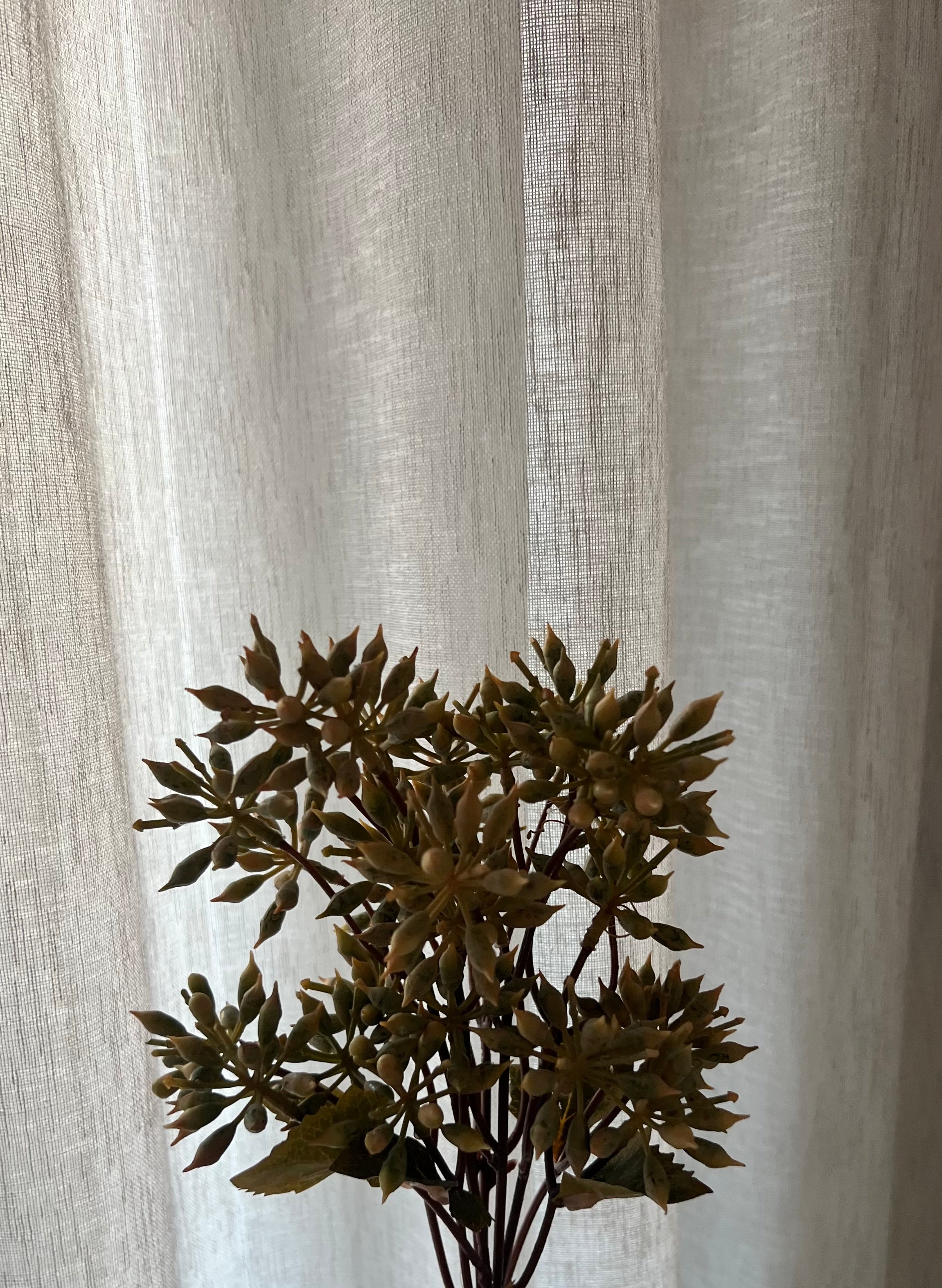 Semporna Crème 32 cm