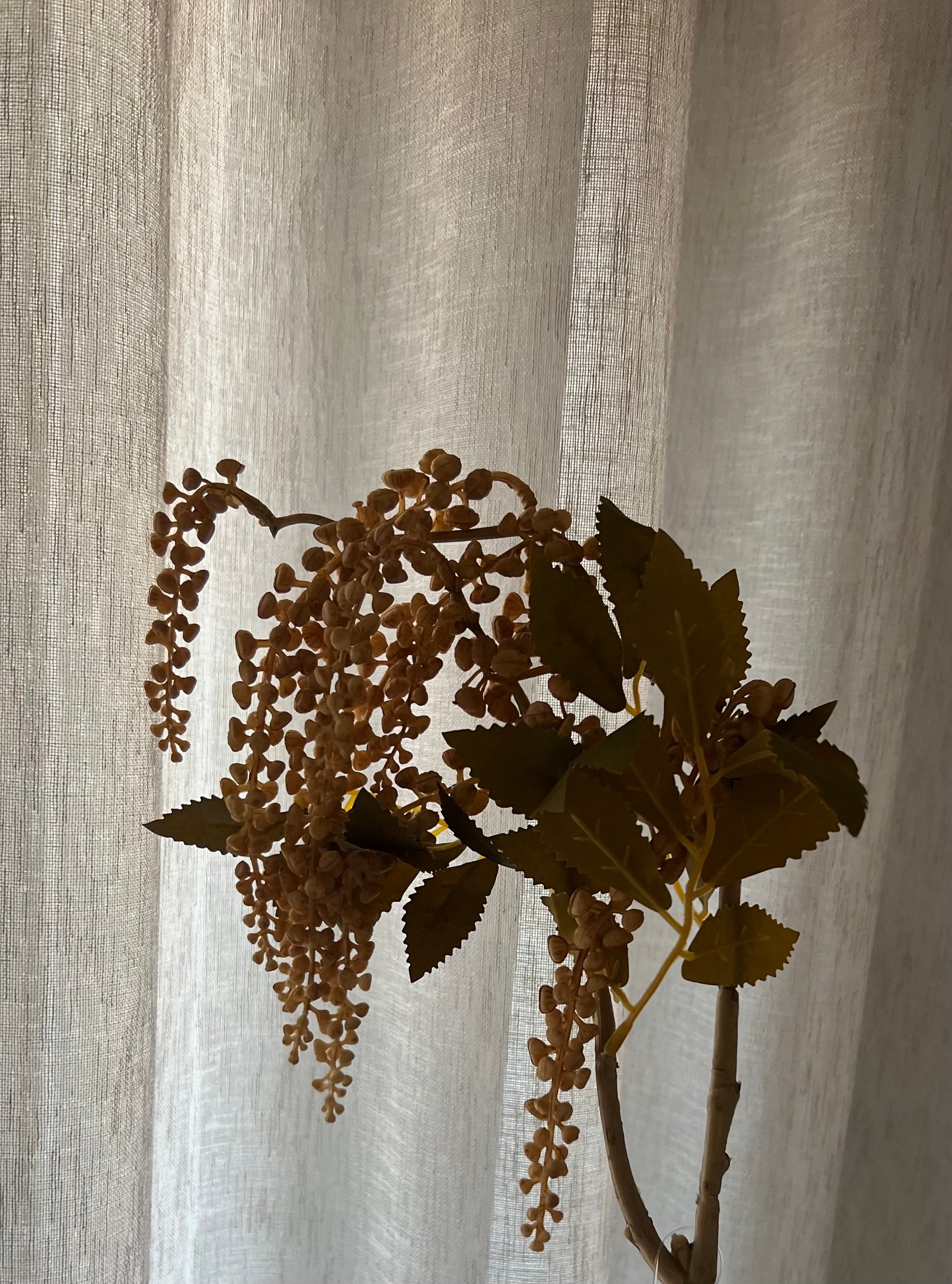 Berry Jungle Brown 72 cm