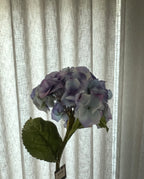 Blauwe hortensia 70 cm