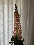 Bloem roze 107 cm