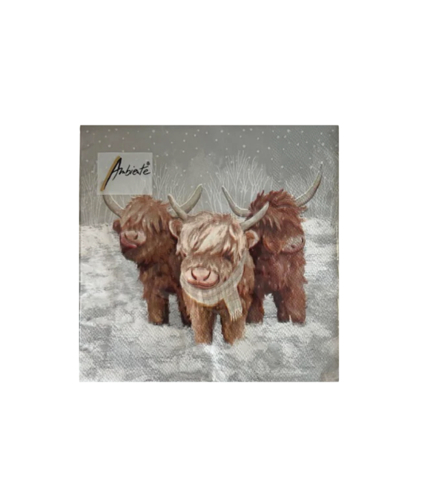 Napkin 33 John, Paul en George