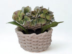 Zijden hortensia in potje