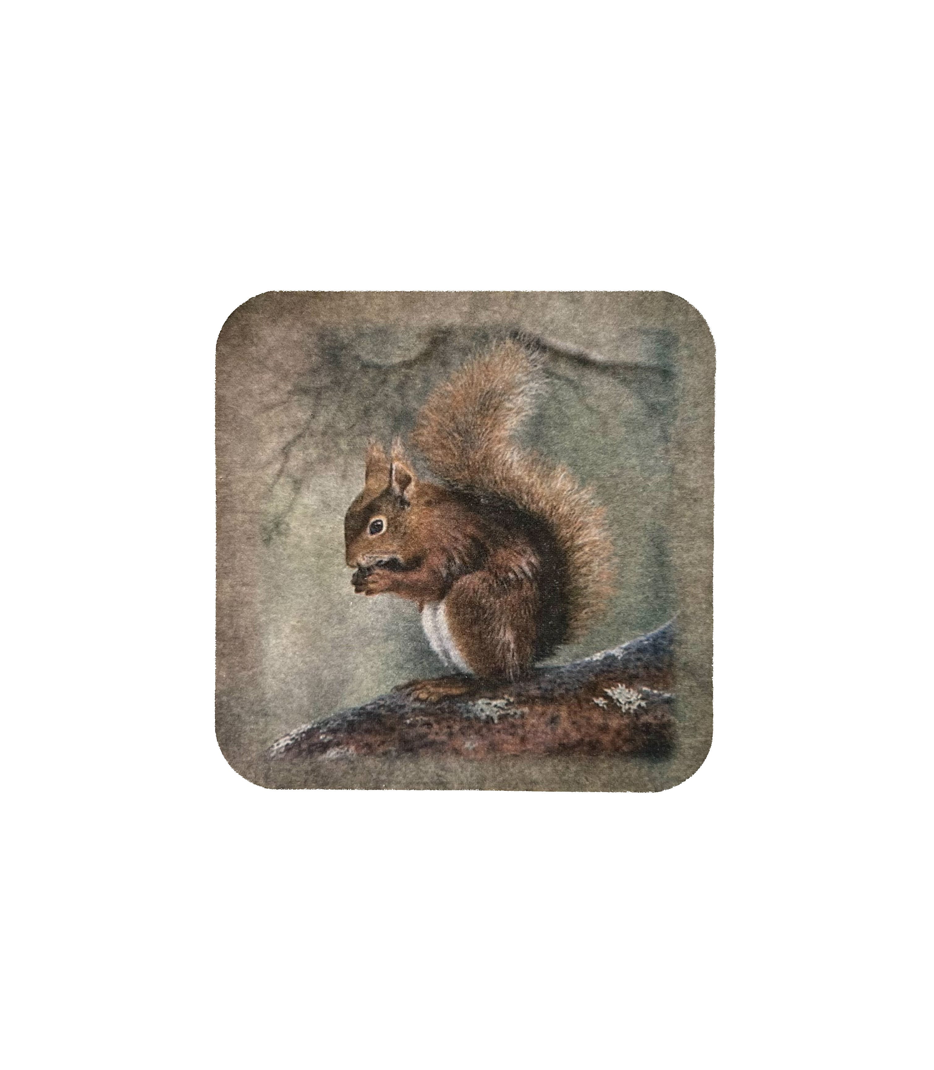 Onderzetter eekhoorn